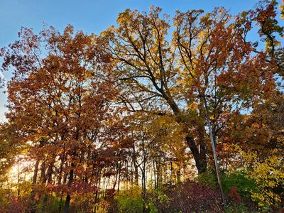 In Fall's Spotlight