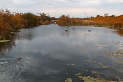 Sunset on Brewster Creek