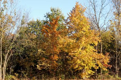 Color Stand