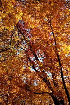 In October's Light