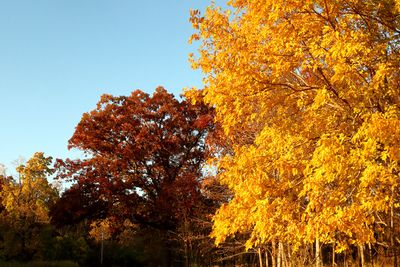October Down the Line