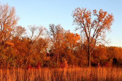 October at Sunset