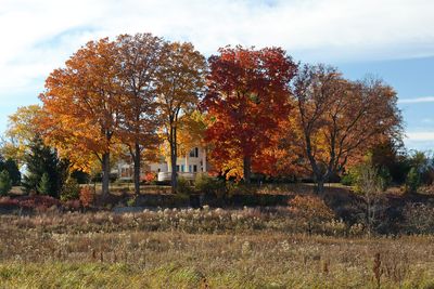 Fall Across the Street