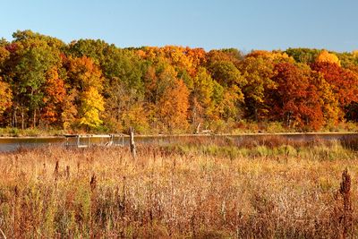October at the Fen