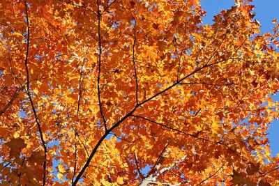 Color Galore