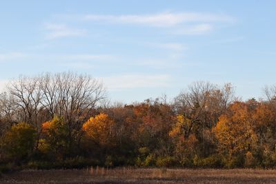 Under an October Sky