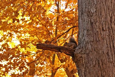 Enjoying Fall