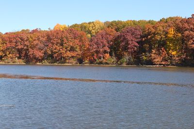 Flowing Through Fall