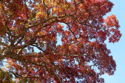 October Color