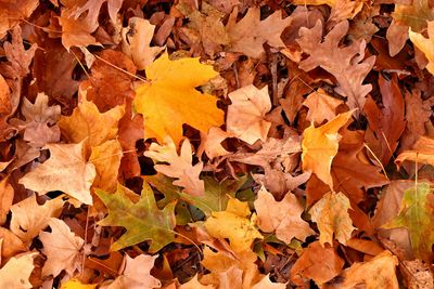 Fall on the Floor