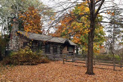 Fall at the Cabin