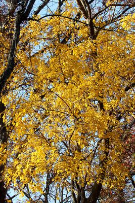 IMG_0166 1M.jpg
