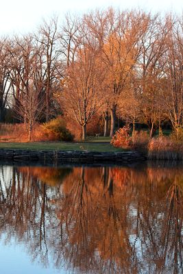 Fall Refelctions