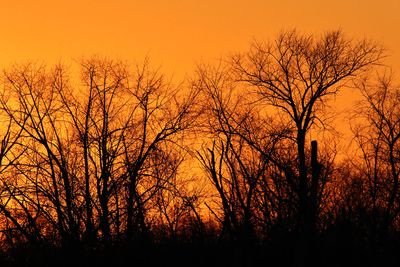 November Silhouettes 