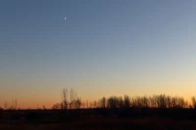 Moon at Sunset