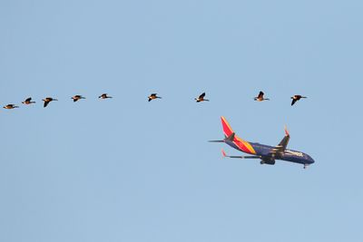 The Race is On