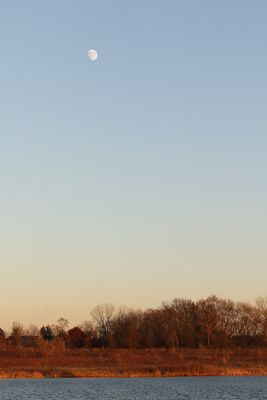 Rising in the East