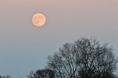 Full Moonrise