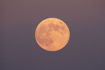 Full Beaver Moon