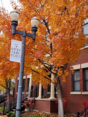 Autumn in Elgin