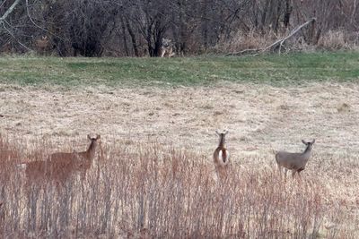 Keeping Their Distance