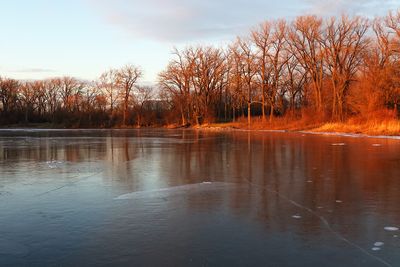 Under Ice