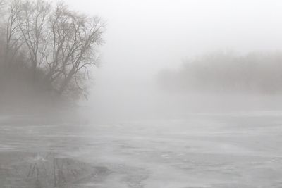 Fog on the Fox