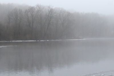 Foggy Day
