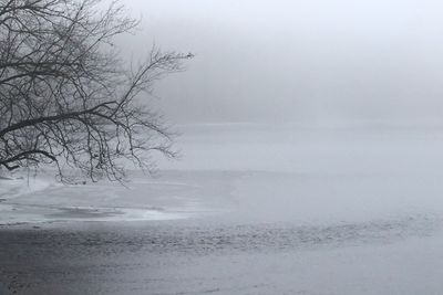 Fogged In