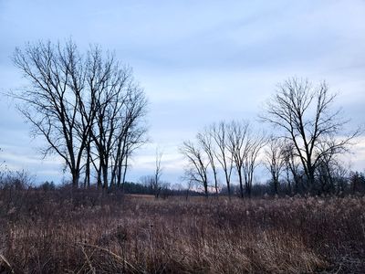 December Landscape