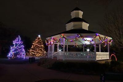 Bartlett Christmas