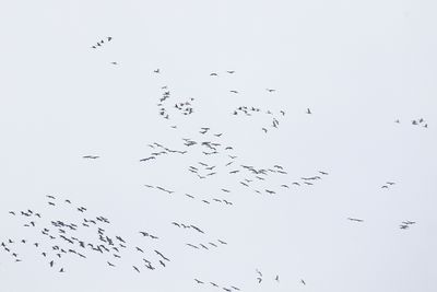 Circling the Sky