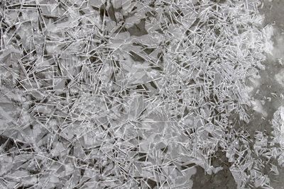 Frozen Fractals