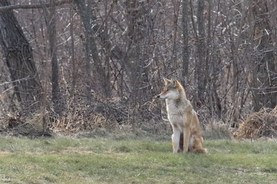 Watching and Waiting