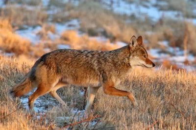 Moving Towards a Meal