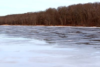Thawing Out