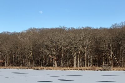 Moon in the East