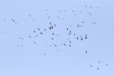 Circling the Sky