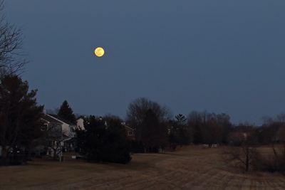 Worm Moon Night