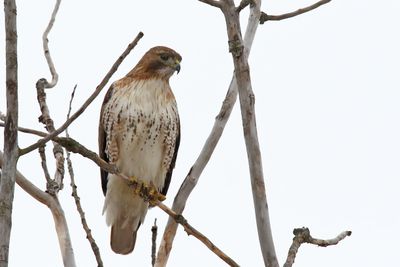 Watching Carefully