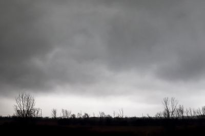 g13/90/147490/3/175315952.932e006a.JPEG