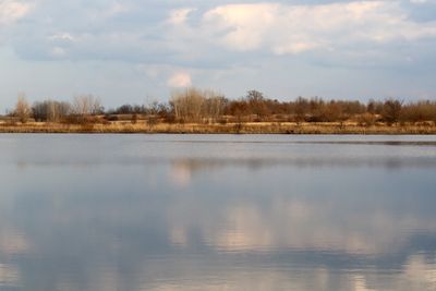 Still Waters