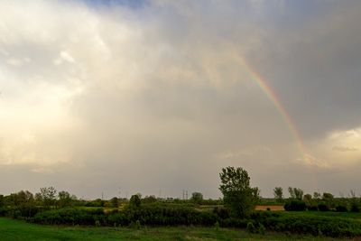 Little Bit of a Rainbow
