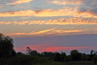 Skyscapes