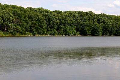 Waterscapes