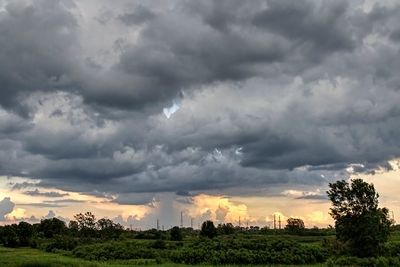 Skyscapes