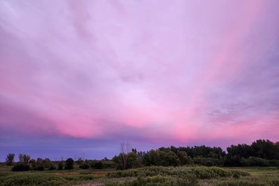 Skyscapes