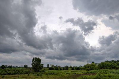 Skyscapes