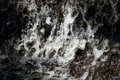 Waterscapes