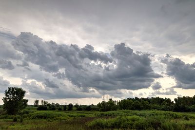 g13/90/147490/3/175712012.d7f45b6b.JPEG